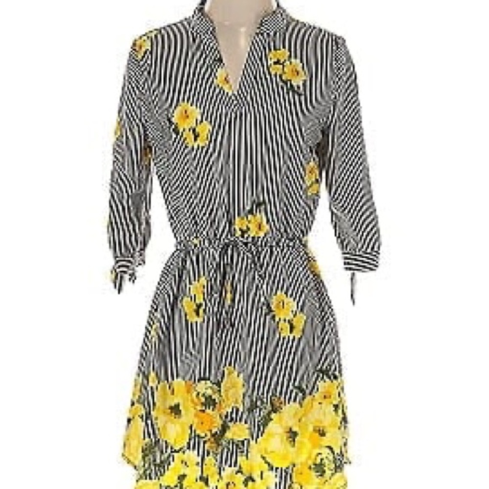 Hint of Blush size Large Floral Striped Dress